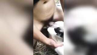 Bắn vào trong nữa rồi