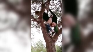 Trèo lên cây địt nhau dâm đãng mông to lồn múp