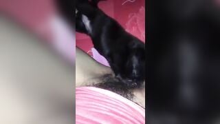 Nứng lồn quá nên cho em cún cưng bé lồn giải tỏa