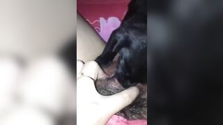 Nứng lồn quá nên cho em cún cưng bé lồn giải tỏa