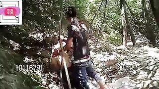 Trong rừng sex