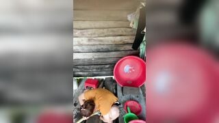 Thằng cháu dưới quê quay lén bà dì nó tới nỗi biết luôn chu kì của dì nó