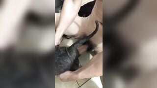 Chai vịt chịt chó 3