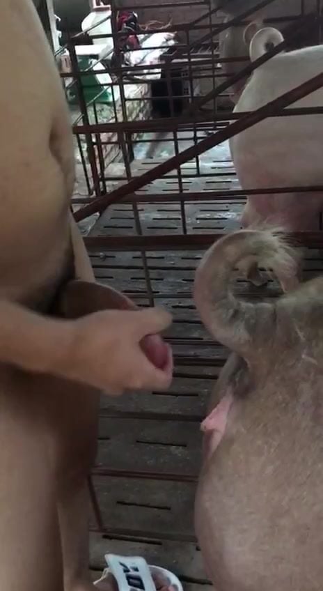 Cặt cong chịt em nái