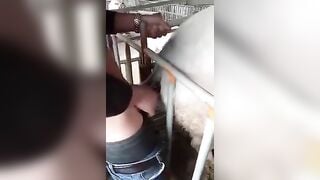 Cứ bằm im mà hưởng thụ