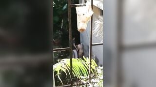 Nứng cặc đưa em ra dồng puclic đêm khuya