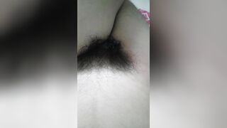 Bướm non hóa đại bàng