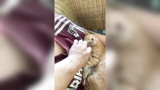 Em gái của năm