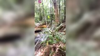 EM VK TÔI BỊ THẰNG GIÀ U 55 ĐƯA VÀO RỪNG ĐỊT RỒI GỬI CLIP CHO GIA ĐÌNH