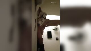 genz mới lớn dâm đãng ăn với địt