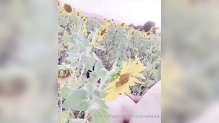 Public MỹHạnh giữa cánh đồng hướng dương