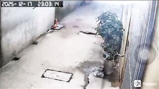 Gái xinh bị người lạ Móc Lồn Ngay tại nhà Bóp vú