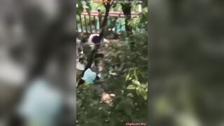 quay lén 2 em học sinh nđang dogy trong bụi