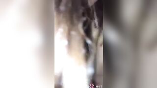 Nửa đêm em bắt dậy trả bài 3