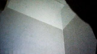 Quay lén WC nữ 13