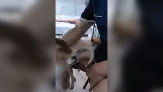 Người nhỏ mà lozzz to. Chịt em rên sung sướng