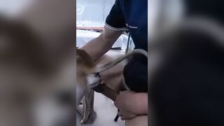 Người nhỏ mà lozzz to. Chịt em rên sung sướng