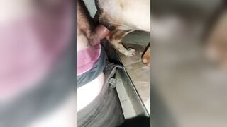 Có một sự phê pha không hề nhỏ