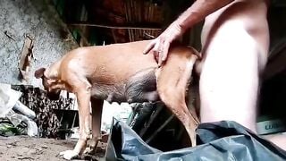 Bầu bi sắp đẻ mà nó cũng không tha