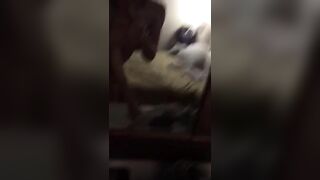 Chị gái chổng mông cho thằng em họ doggy