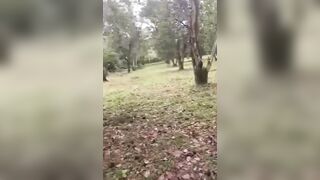 Hoà mình vào thiên nhiên 2