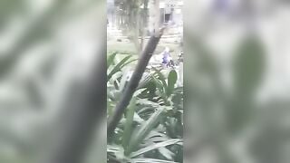 Bắt được đôi bạn trẻ dẫn nhau ra công viên địt