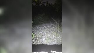 llsongokull 3