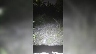 llsongokull 3