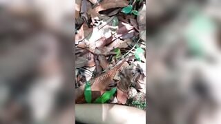 Phá Trinh Bé Gái *** Cực Độc