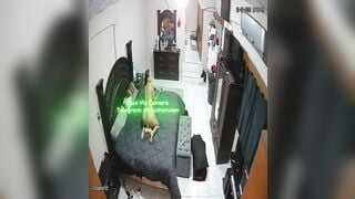 Hack Camera Chị Gái Chồng Chết Nứng Lồn Dùng Sextoy Để Thủ Dâm