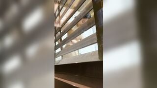 RÌNH MÃI MỚI QUAY ĐƠƠC CHIM HÀNG XÓM