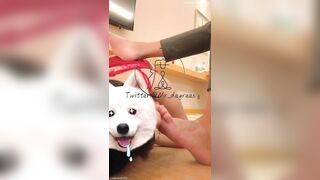 cún cái thích bdsm. gái trung ai cũng thế này hở ae 🫣🫣🫣