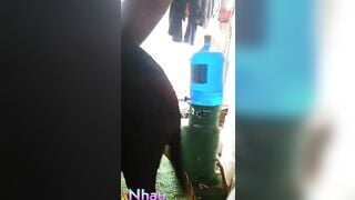 😛Một con chó1