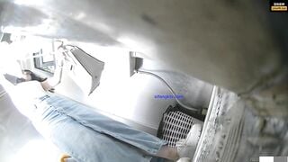 toilet 31 (bướm không lông)