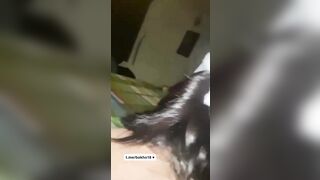 anh em ta là một 19