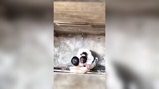 hai em học sinh vào hẻm vắng bú cu địt nhau