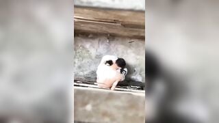 hai em học sinh vào hẻm vắng bú cu địt nhau
