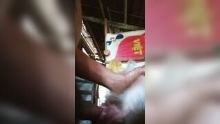 Anh trai miền tây chich chó p2