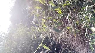 siêu phẩm loli vú to thủ dâm tư liệu quý cho anh em bỏ lọ - phần 23