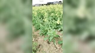 Ông già nông thôn này sướng thật chịch được em gái siêu ngon Phần 5