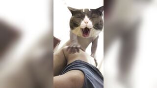 Bé sinh viên 2k5 vú hồng bướm lúc nào cũng chảy nước vì thèm chịch