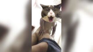 Bé sinh viên 2k5 vú hồng bướm lúc nào cũng chảy nước vì thèm chịch