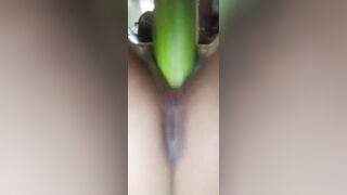 Lê VY 2k6 mới lớn