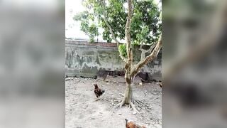 Chị Gái Live Thủ Dâm Season 2 Tập 27