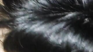 Súc vật a họ, Nửa đêm Mò lồn rậm lông e họ qua chơi Bú Lồn quay video