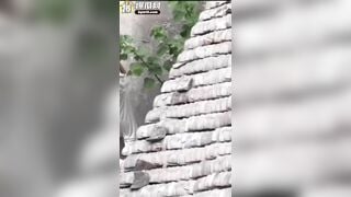 quay lén 2 em học sinh lén địt nhau ở góc trường