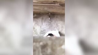 2 đứa làm gì trong ngõ thế