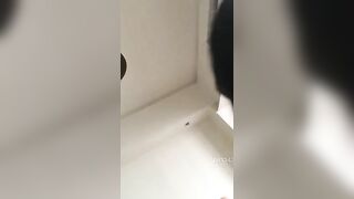 CHÚ ƠI ,BỐ MẸ CHÁU ĐI VẮNG RỒI, CHÚ SANG ĐÂY ĐI