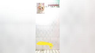 Ngọc Thoa chia tay bị nyc tung clip 2