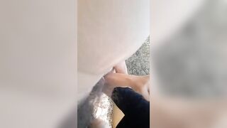Mang cô hàng xóm vào rừng chơi thú nhún